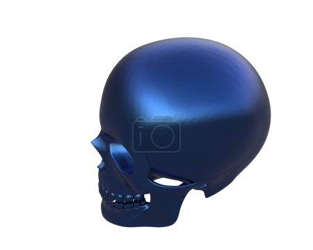 Téléchargez les photos : Crâne isolé sur fond blanc - en image libre de droit