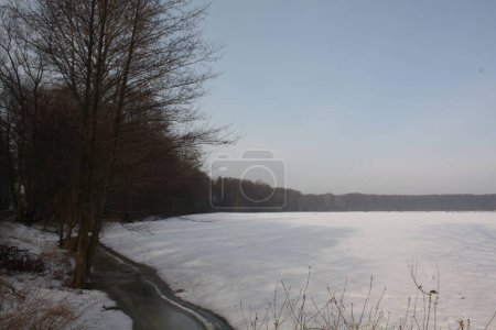 Téléchargez les photos : Paysage hivernal avec champ et forêt au loin - en image libre de droit