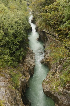 Téléchargez les photos : La rivière Soca crée l'un des plus beaux canyon d'Europe. - en image libre de droit