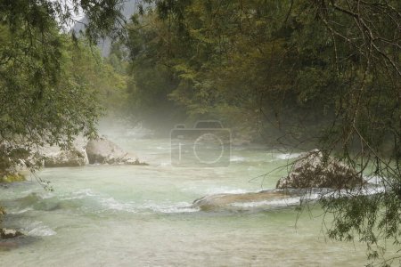 Téléchargez les photos : La rivière Soca crée l'un des plus beaux canyon d'Europe. - en image libre de droit