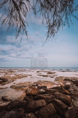 Marzameni, Sicily, Italy - 16 March 2022: Rocky beach with tree branches in the foreground and sky with clouds