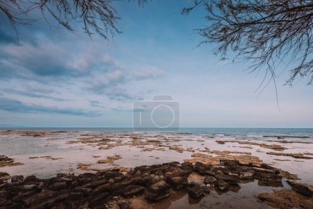 Marzameni, Sicilia, Italia - 16 de marzo de 2022: Vista panorámica de la playa rocosa con ramas de árboles en primer plano y cielo con nubes