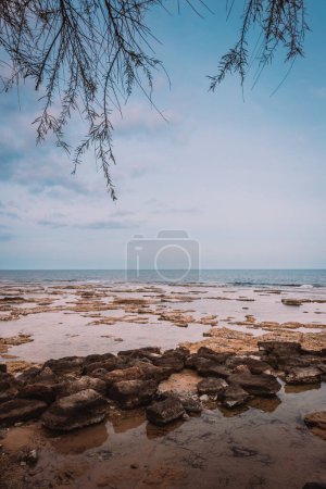 Marzameni, Sicilia, Italia - 16 de marzo de 2022: Playa rocosa con ramas de árboles en primer plano y cielo con nubes