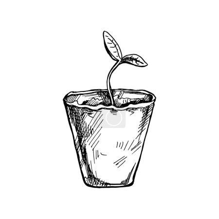 Illustration for Hand-drawn sketch of plant in biodegradable peat moss pot on white background. Eco concept. Doodle vector outline doodle icon. - Royalty Free Image
