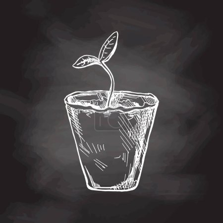 Illustration for Hand-drawn sketch of plant in biodegradable peat moss pot on chalkboard background. Eco concept. Doodle vector outline doodle icon. - Royalty Free Image