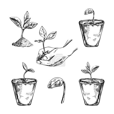 Illustration for Hand-drawn sketch of plants in biodegradable peat moss pots and tree sprout in hand. Eco concept. Doodle vector outline doodle icon. - Royalty Free Image