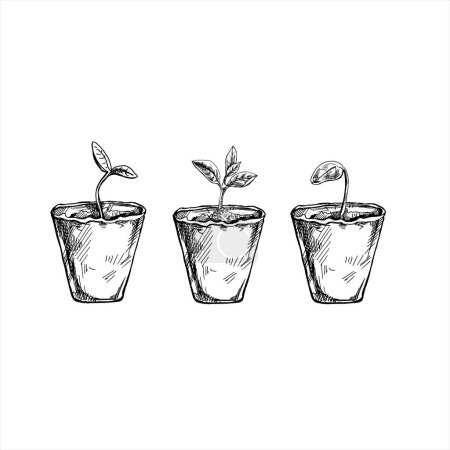 Illustration for Hand-drawn sketch of plants in biodegradable peat moss pots on white background. Eco concept. Doodle vector outline set. - Royalty Free Image