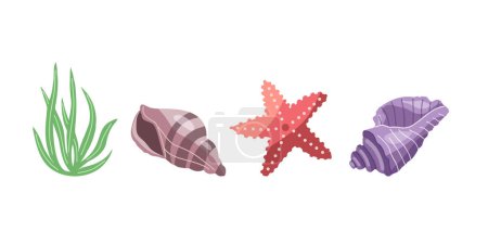 Ilustración de Conjunto de vectores de conchas marinas, moluscos, algas, estrellas de mar. Ilustración plana de varias conchas marinas sobre fondo blanco. Colección de pegatinas. - Imagen libre de derechos