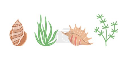 Ilustración de Conjunto de vectores de conchas marinas, moluscos, algas. Ilustración plana de varias conchas marinas sobre fondo blanco. Colección de pegatinas. - Imagen libre de derechos