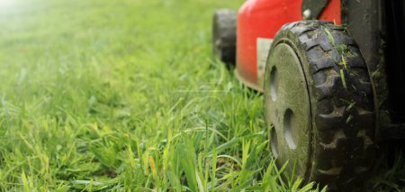 Lawnmover on on a grassy grass. A old red lawn mower mowing lush green grass.