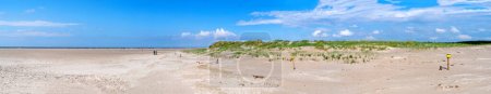 Panorama of the protected dunes of Sankt Peter Ording on a sunny day. North Sea, Germany