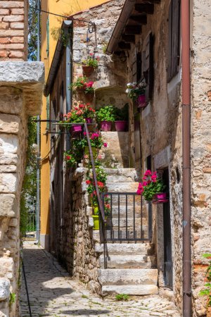 Beautiful impresiones of old rustic stone house with flower decoration in the village Porec, Croatia