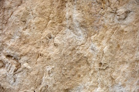 Foto de Textura marrón dorado de piedra natural natural primer plano, piedra de Jerusalén en una sección - Imagen libre de derechos