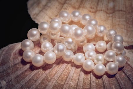 beautiful elegant beads made of large white pearls on a seashell, the concept of women's jewelry, beauty and fashion