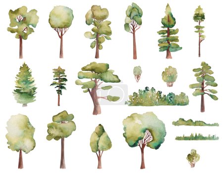 Photo for Watercolor trees, bushes and grass set, hand painted isolated illustration on a white background - Royalty Free Image