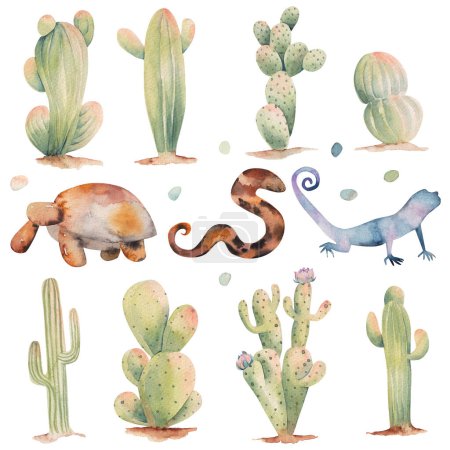 Photo for Set of watercolor cacti and animals of desert illustration on a white background, desert cactuses clipart - Royalty Free Image