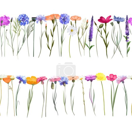 Téléchargez les photos : Bordure florale sans couture de bleuets aquarelles et autres fleurs sauvages, illustrations isolées sur fond blanc - en image libre de droit