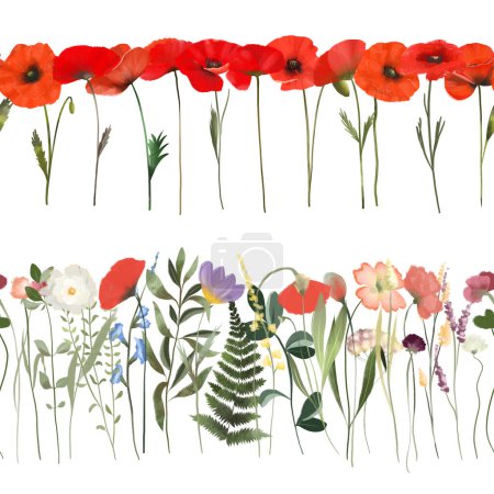 Foto de Borde floral sin costuras de plantas de pradera acuarela, amapolas y flores silvestres, ilustraciones aisladas sobre un fondo blanco - Imagen libre de derechos