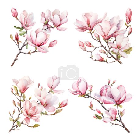 Foto de Acuarela primavera florecimiento magnolia árbol ramas clipart, ilustración aislada sobre fondo blanco - Imagen libre de derechos