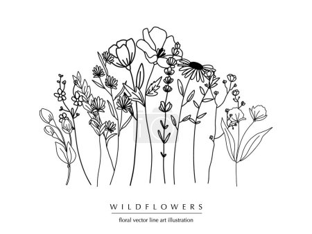 Illustration for Botanical abstract line art composition with wildflowers, minimal floral border of hand drawn herbs, flowers, leaves and branches; vector illustration - Royalty Free Image