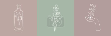 Illustration for Vector set of botanical illustrations in minimal linear style, minimalistic modern floral logo - Royalty Free Image