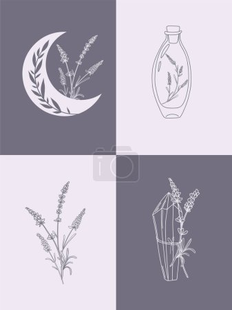 Illustration for Vector set of botanical illustrations in minimal linear style, lavender flower illustration set, minimalistic modern floral logo, pre-made art poster - Royalty Free Image