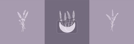 Ilustración de Conjunto vectorial de ilustraciones botánicas en estilo lineal minimalista, conjunto de ilustración de flores de lavanda, logotipo floral moderno minimalista - Imagen libre de derechos