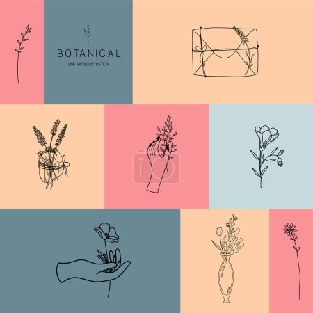 Illustration for Vector set of botanical illustrations in minimal linear style, hand drawn elegant wildflowers, crystal, branches and vintage glass bottle, minimal floral line art drawing, pre-made art poster - Royalty Free Image