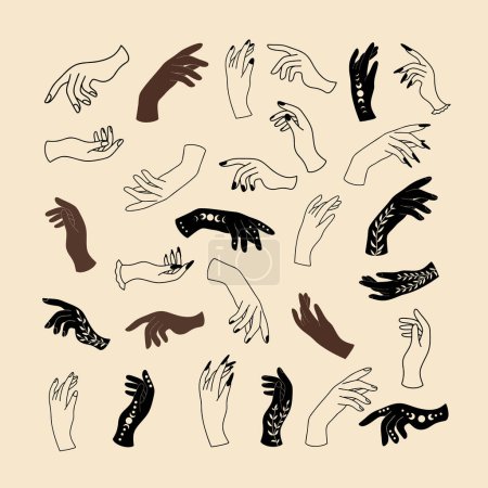 Ilustración de Manos místicas femeninas en un estilo lineal minimalista; ilustración vectorial con gestos de mano - Imagen libre de derechos
