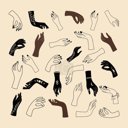 Téléchargez les illustrations : Mains mystiques féminines dans un style linéaire minimaliste ; illustration vectorielle avec gestes de main - en licence libre de droit