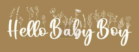 Illustration for Hello Baby Boy hand drawn calligraphy inscription with line art flowers, lettering for greeting card, poster, baby shower card - Royalty Free Image