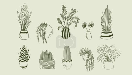 Illustration for Set of houseplants in pots, home garden, hand drawn home ornamental plants vector illustration; isolated potted flowers clipart - Royalty Free Image