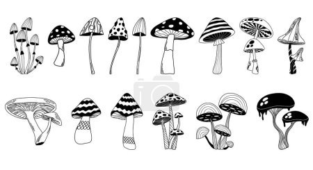 Téléchargez les illustrations : Ensemble vectoriel mystique de champignons boho, clipart magique de champignons fantaisie, symbole de sorcellerie, objets ésotériques sorcières, éléments floraux mystiques - en licence libre de droit