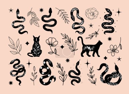 Ensemble de chats et serpents noirs célestes mystiques, fleurs et branches, illustration vectorielle florale et faunique, éléments floraux et animaux mystiques