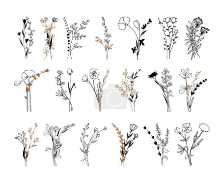 Téléchargez les illustrations : Illustration vectorielle de fleurs sauvages, Arts botaniques, bouquets dessinés à la main d'herbes, fleurs, feuilles et branches - en licence libre de droit