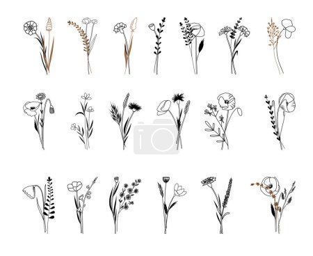 Illustration for Wildflowers vector illustration, Botanical line arts, hand drawn bouquets of herbs, flowers, leaves and branches - Royalty Free Image