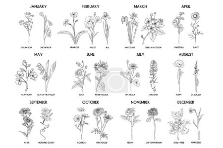 Ilustración de Conjunto de flores mes de nacimiento, vector dibujado a mano aislado flores y plantas de arte para tarjetas de felicitación e invitaciones - Imagen libre de derechos