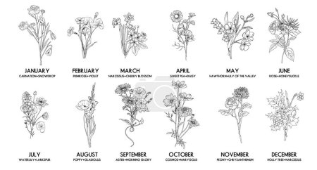 Ilustración de Conjunto de ramo de flores mes de nacimiento, vector dibujado a mano arte de línea aislada composiciones florales para tarjetas de felicitación e invitaciones - Imagen libre de derechos