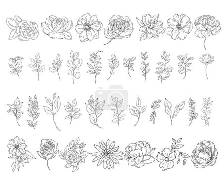 Ilustración de Botanical abstracta ilustración de arte de línea, hierbas dibujadas a mano, hojas, flores y ramas conjunto, vector floral mano dibujado clipart - Imagen libre de derechos