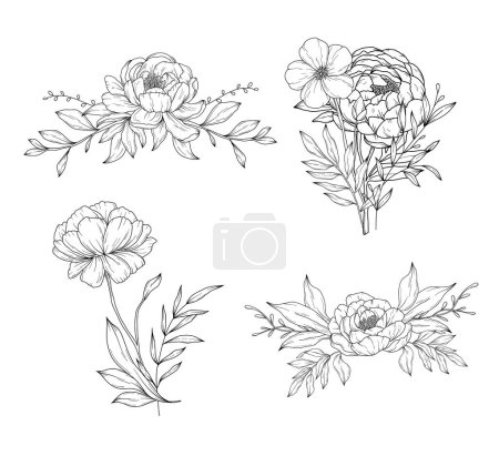 Illustration for Collection of peony flowers bouquets and flower compositions, hand drawn botanical  line art drawing, vector floral illustration - Royalty Free Image