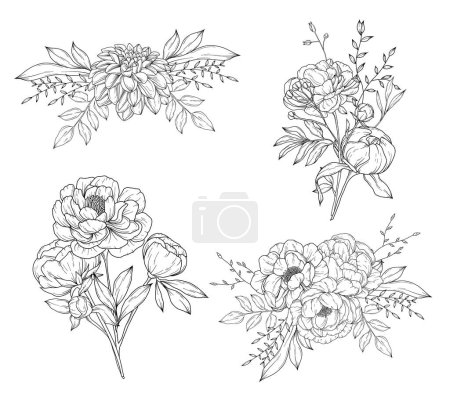 Illustration for Collection of peony flowers bouquets and flower compositions, hand drawn botanical  line art drawing, vector floral illustration - Royalty Free Image