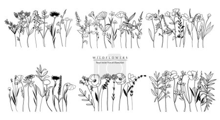 Ilustración de Composiciones botánicas abstractas de arte de línea, bordes florales mínimos de hierbas, flores, hojas y ramas dibujadas a mano; ilustración vectorial - Imagen libre de derechos