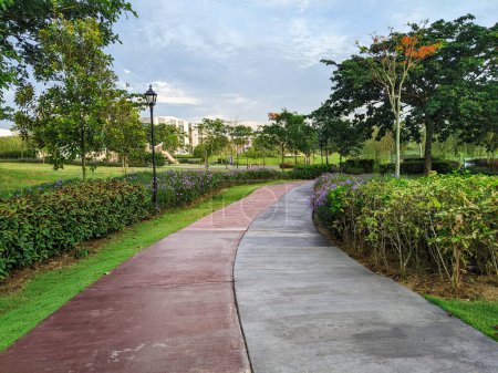 Téléchargez les photos : Si belle est la passerelle dans le parc de loisirs le matin - en image libre de droit