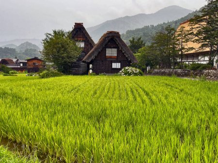 Rustikale Prachtbauten: Umarmung der Landschaft von Shirakawa Go, Japan