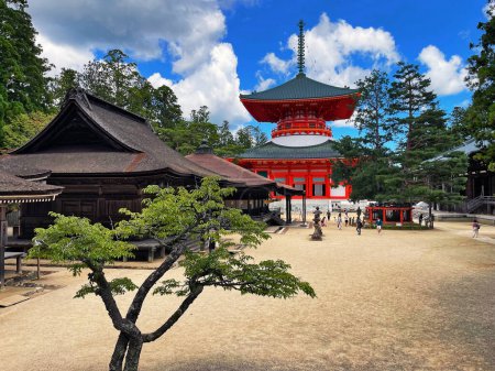 Ethereal Elegance: Wooden Temple Beauty in Koyasan, Kongobu Jinja, Wakayama, Japan