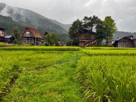 Picturesque Pastoral: Tranquil Village Scenes in Shirakawa Go, Japan