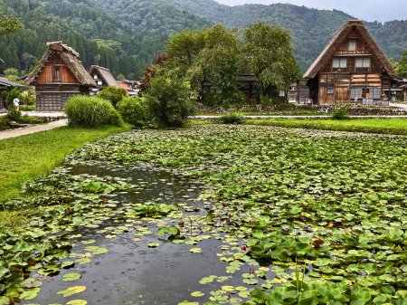 Charms für den ländlichen Raum: Erkunden Sie die Landschaft in Shirakawa Go, Japan