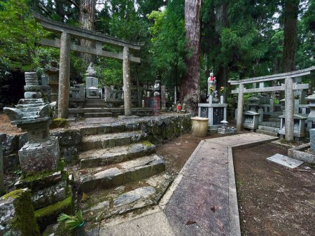Sacred Silence: Ancient Cemetery Tranquility in Koyasan, Wakayama, Japan