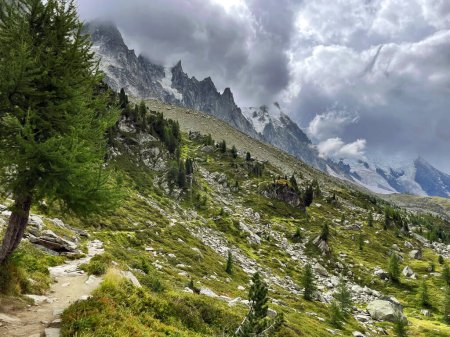 Promenade des Alpes : Chemin de Sentier à Chamonix, Grand Balcon, France