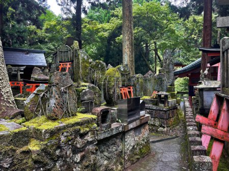 Göttliches Tor: Fushimi Inari Taisha Tempeltor und Statuen im Wald, Kyoto, Japan